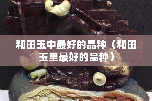 和田玉中最好的品種（和田玉里最好的品種）