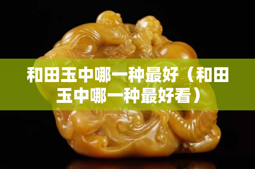 和田玉中哪一種最好（和田玉中哪一種最好看）