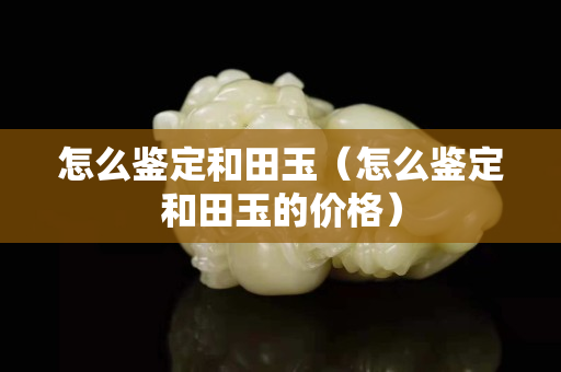怎么鑒定和田玉（怎么鑒定和田玉的價格）