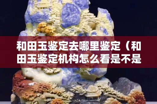 和田玉鑒定去哪里鑒定（和田玉鑒定機構怎么看是不是正規的）
