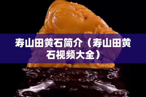壽山田黃石簡介（壽山田黃石視頻大全）