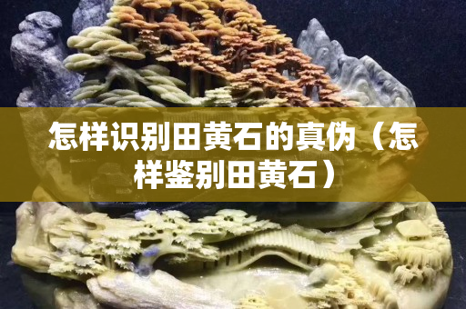 怎樣識別田黃石的真偽（怎樣鑒別田黃石）