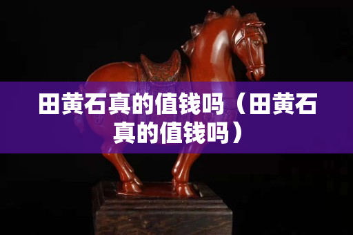 田黃石真的值錢嗎（田黃石真的值錢嗎）