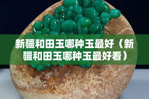 新疆和田玉哪種玉最好（新疆和田玉哪種玉最好看）