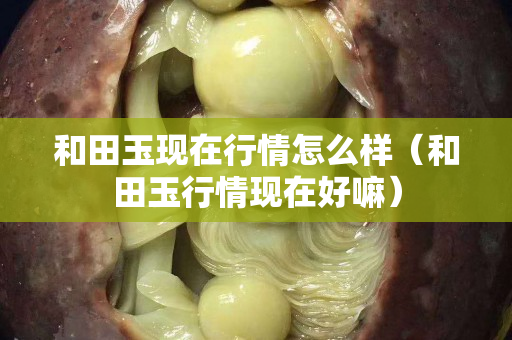和田玉現在行情怎么樣（和田玉行情現在好嘛）