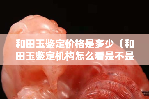 和田玉鑒定價格是多少（和田玉鑒定機構(gòu)怎么看是不是正規(guī)的）