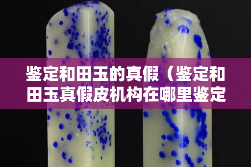 鑒定和田玉的真假（鑒定和田玉真假皮機構在哪里鑒定）