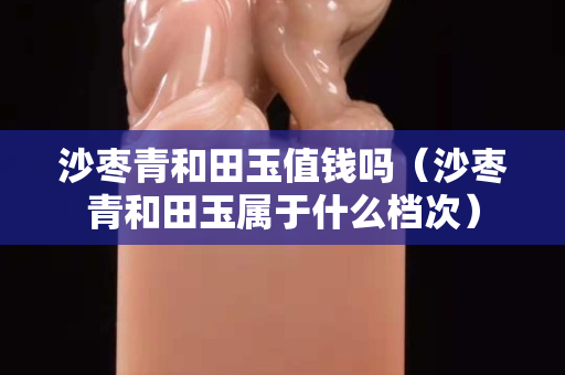 沙棗青和田玉值錢嗎（沙棗青和田玉屬于什么檔次）