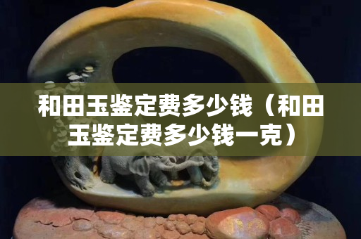 和田玉鑒定費多少錢（和田玉鑒定費多少錢一克）