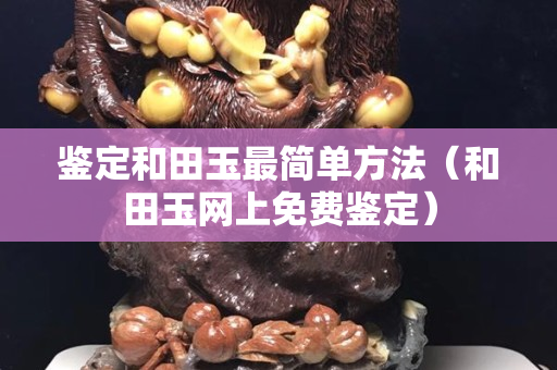鑒定和田玉最簡單方法（和田玉網上免費鑒定）