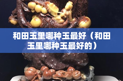和田玉里哪種玉最好（和田玉里哪種玉最好的）