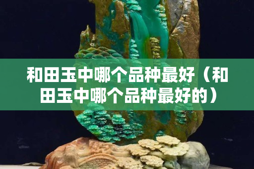 和田玉中哪個(gè)品種最好（和田玉中哪個(gè)品種最好的）