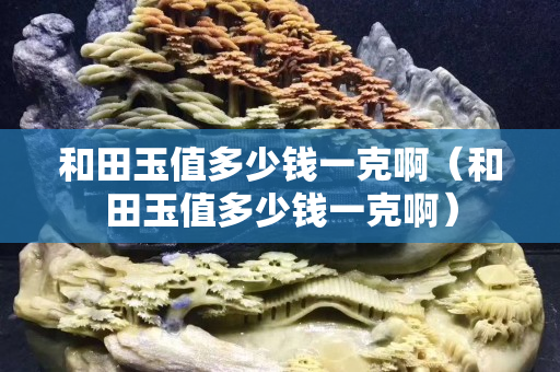 和田玉值多少錢一克啊（和田玉值多少錢一克啊）
