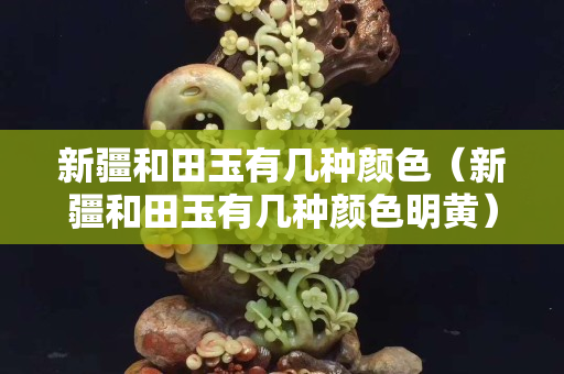 新疆和田玉有幾種顏色（新疆和田玉有幾種顏色明黃）