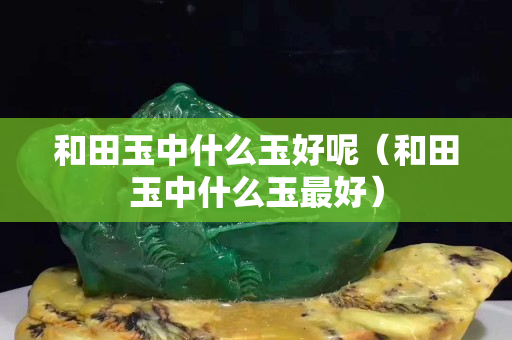 和田玉中什么玉好呢（和田玉中什么玉最好）