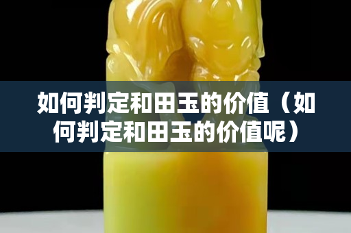 如何判定和田玉的價值（如何判定和田玉的價值呢）