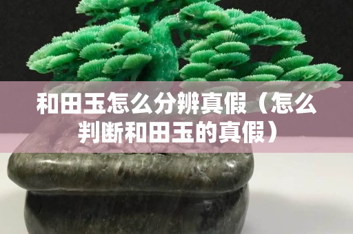 和田玉怎么分辨真假（怎么判斷和田玉的真假）