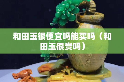 和田玉很便宜嗎能買嗎（和田玉很貴嗎）
