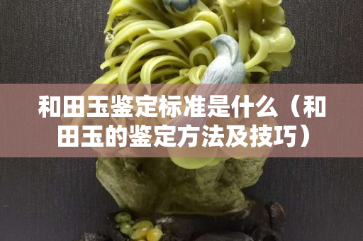 和田玉鑒定標準是什么（和田玉的鑒定方法及技巧）