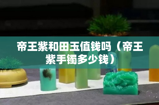 帝王紫和田玉值錢嗎（帝王紫手鐲多少錢）