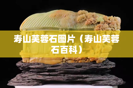 壽山芙蓉石圖片（壽山芙蓉石百科）