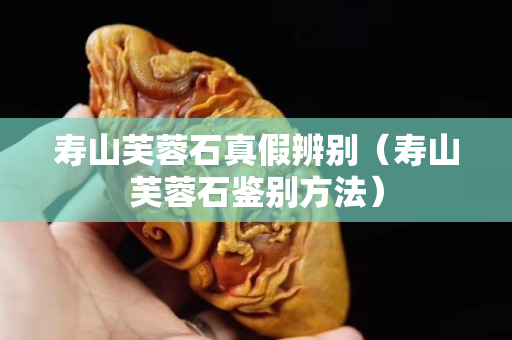 壽山芙蓉石真假辨別（壽山芙蓉石鑒別方法）