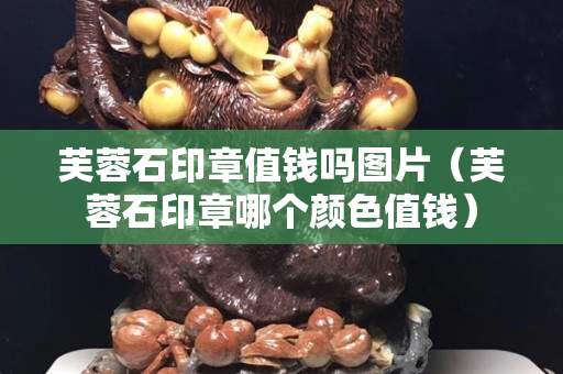 芙蓉石印章值錢(qián)嗎圖片（芙蓉石印章哪個(gè)顏色值錢(qián)）