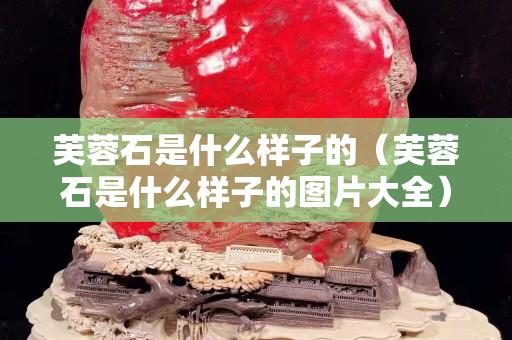 芙蓉石是什么樣子的（芙蓉石是什么樣子的圖片大全）
