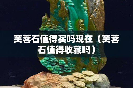 芙蓉石值得買嗎現在（芙蓉石值得收藏嗎）