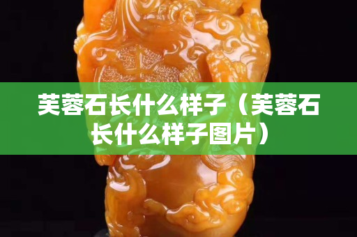 芙蓉石長什么樣子（芙蓉石長什么樣子圖片）