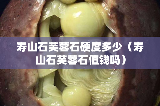 壽山石芙蓉石硬度多少（壽山石芙蓉石值錢嗎）