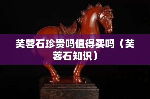 芙蓉石珍貴嗎值得買嗎（芙蓉石知識）