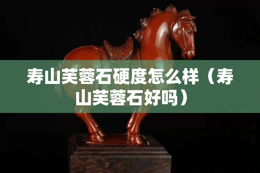 壽山芙蓉石硬度怎么樣（壽山芙蓉石好嗎）