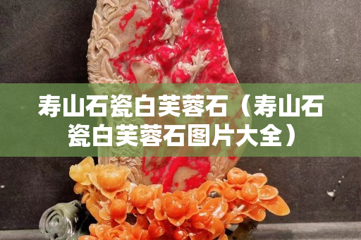 壽山石瓷白芙蓉石（壽山石瓷白芙蓉石圖片大全）