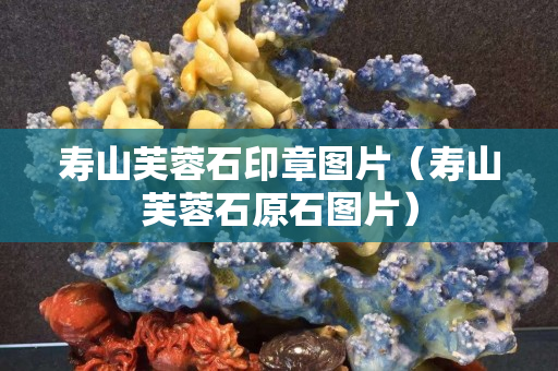 壽山芙蓉石印章圖片（壽山芙蓉石原石圖片）