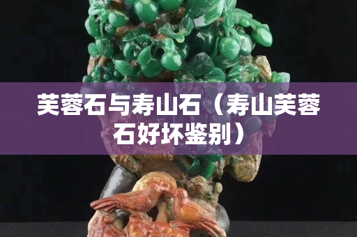 芙蓉石與壽山石（壽山芙蓉石好壞鑒別）