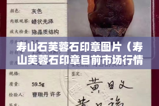 壽山石芙蓉石印章圖片（壽山芙蓉石印章目前市場(chǎng)行情）