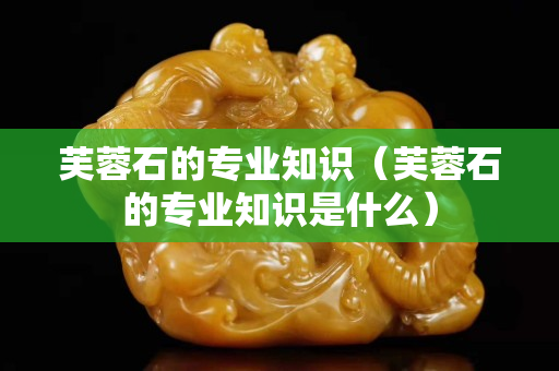 芙蓉石的專業(yè)知識(shí)（芙蓉石的專業(yè)知識(shí)是什么）