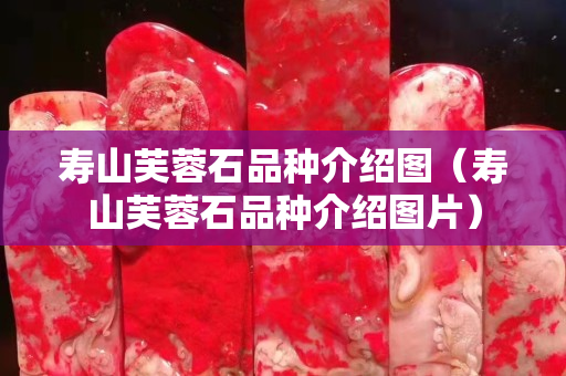 壽山芙蓉石品種介紹圖（壽山芙蓉石品種介紹圖片）