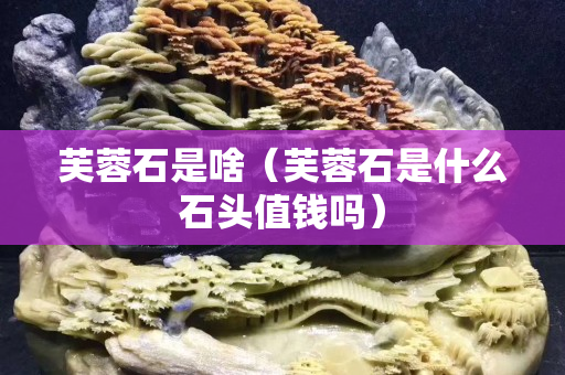芙蓉石是啥（芙蓉石是什么石頭值錢嗎）
