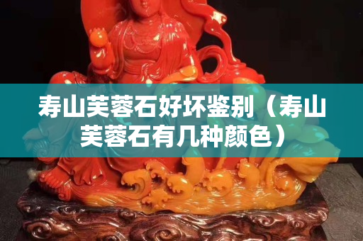 壽山芙蓉石好壞鑒別（壽山芙蓉石有幾種顏色）