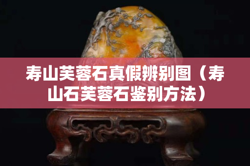 壽山芙蓉石真假辨別圖（壽山石芙蓉石鑒別方法）
