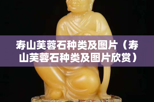 壽山芙蓉石種類及圖片（壽山芙蓉石種類及圖片欣賞）