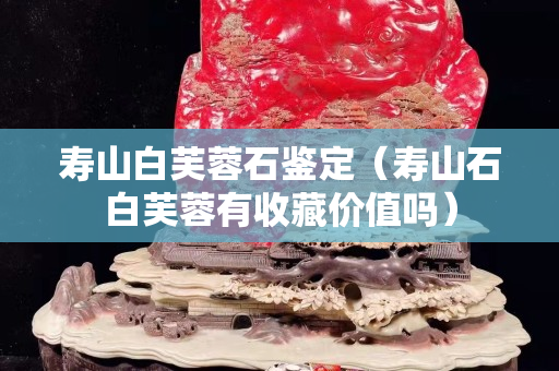 壽山白芙蓉石鑒定（壽山石白芙蓉有收藏價值嗎）