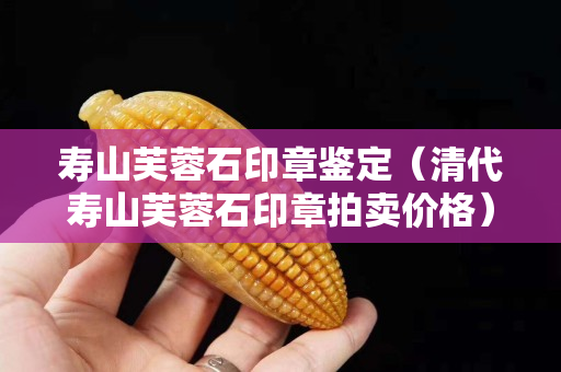 壽山芙蓉石印章鑒定（清代壽山芙蓉石印章拍賣價格）