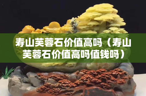壽山芙蓉石價值高嗎（壽山芙蓉石價值高嗎值錢嗎）