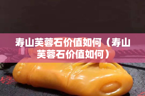 壽山芙蓉石價值如何（壽山芙蓉石價值如何）