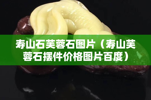 壽山石芙蓉石圖片（壽山芙蓉石擺件價(jià)格圖片百度）