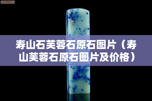 壽山石芙蓉石原石圖片（壽山芙蓉石原石圖片及價格）