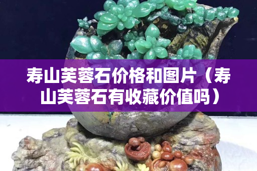 壽山芙蓉石價格和圖片（壽山芙蓉石有收藏價值嗎）